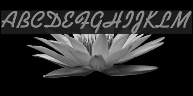 Alako-Bold Font examples