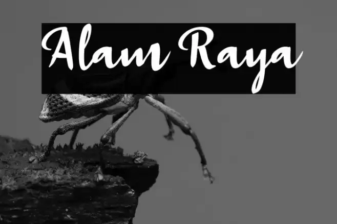 Alam Raya Font examples