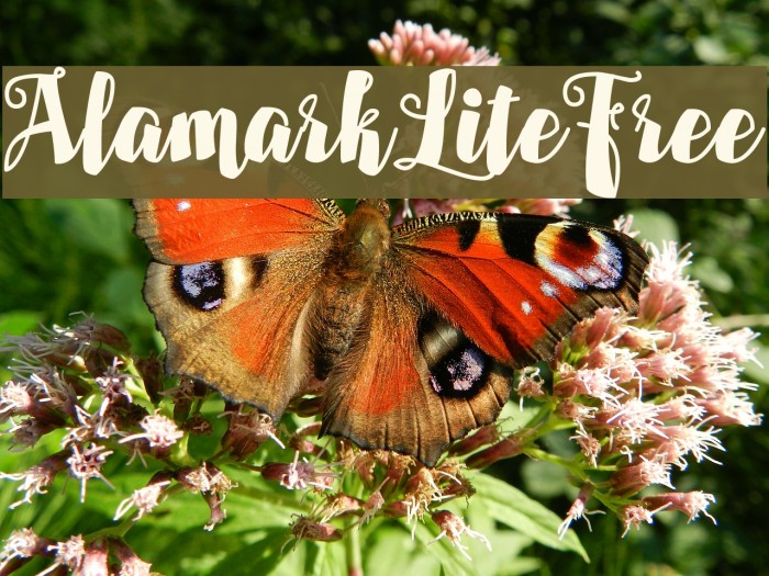 AlamarkLiteFree Font examples