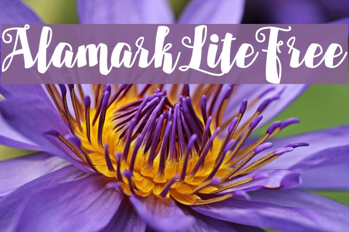 AlamarkLiteFree Font examples