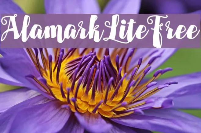 AlamarkLiteFree Example 3