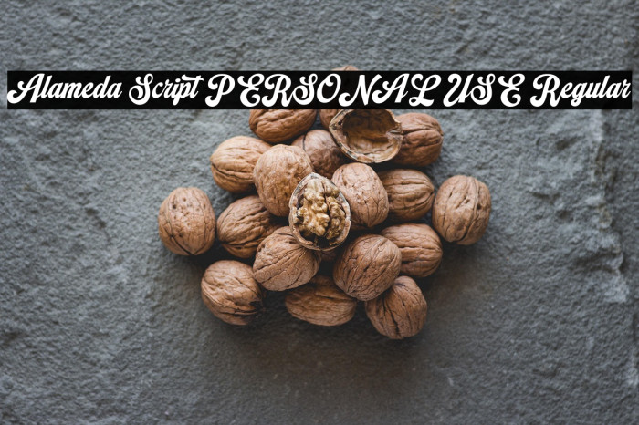 Alameda Script PERSONAL USE Regular Example 1