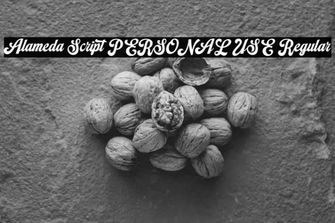 Alameda Script PERSONAL USE Regular Font examples