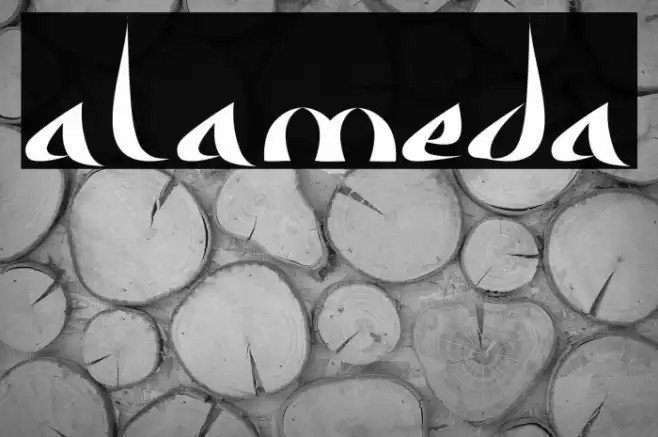 Alameda Font examples