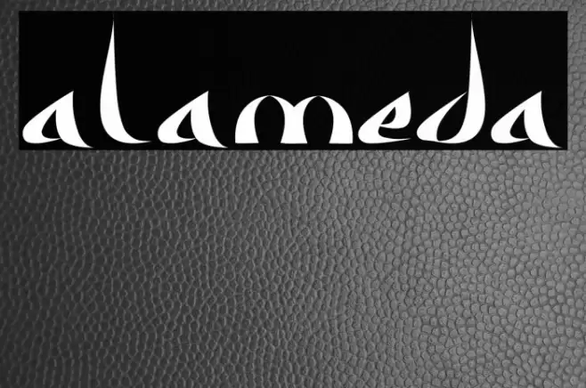 Alameda Font examples
