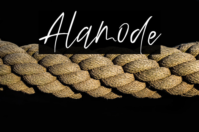 Alamode Example 3