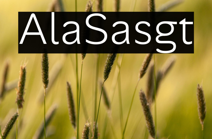 Alan Sans Light Example 1