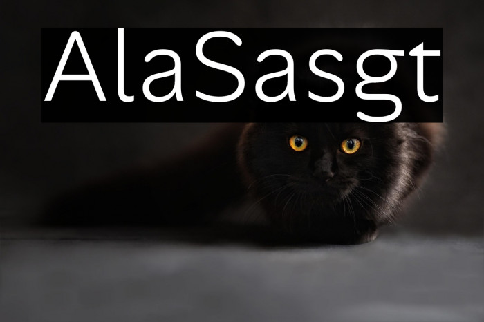 Alan Sans Light Example 2