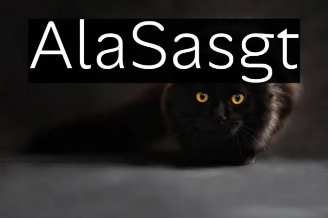 Alan Sans Light Example 2