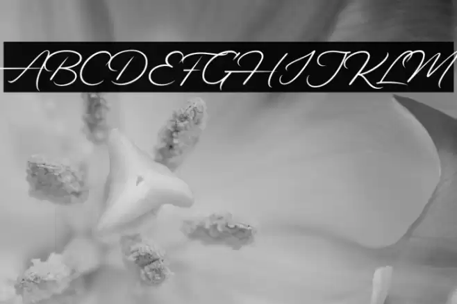 Alander-Regular Font examples