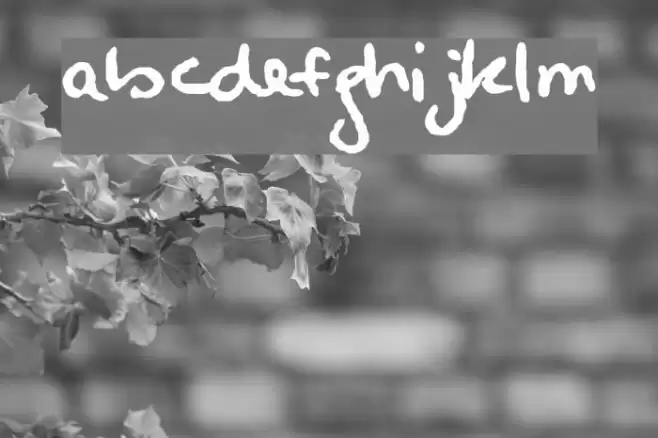 Alanis Hand Font examples