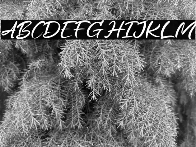 Alansky Font examples