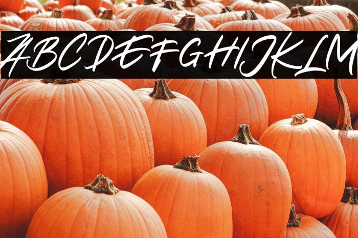 AlantisFREE Example 2