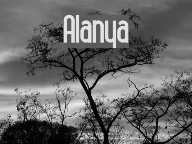 Alanya Font examples