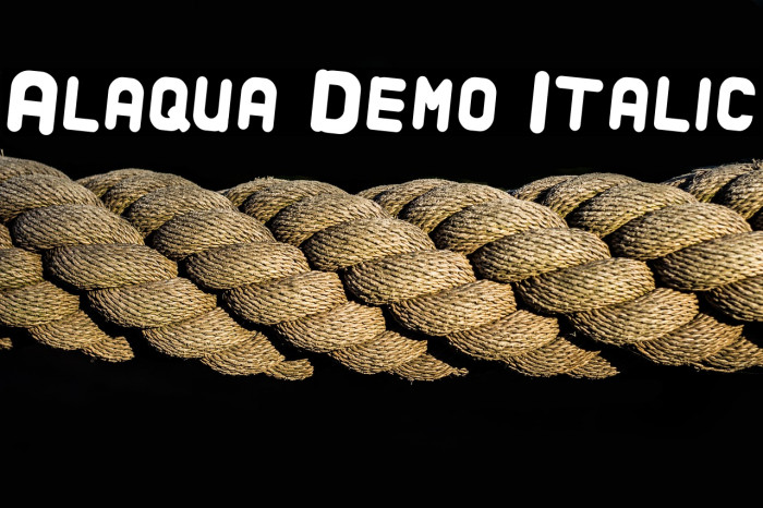 Alaqua Demo Italic Example 3