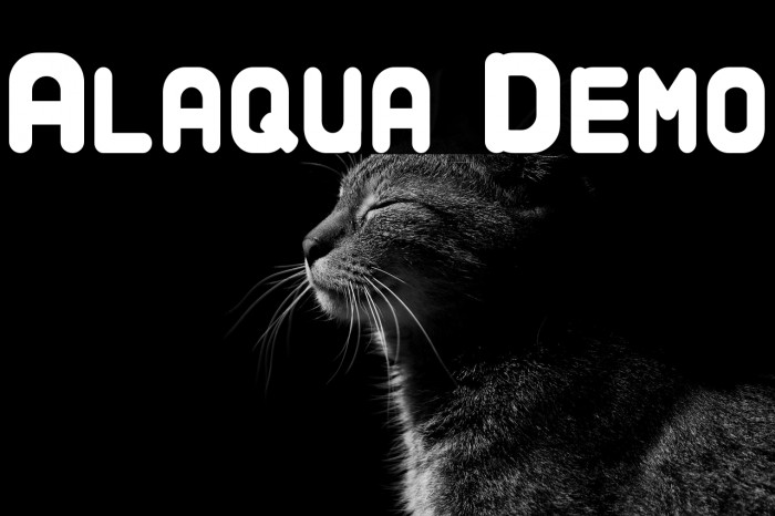 Alaqua Demo Example 1