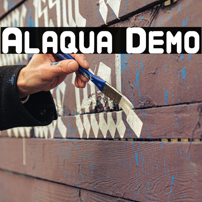 Alaqua Demo Example 2
