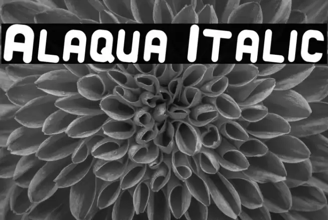 Alaqua Italic Font examples
