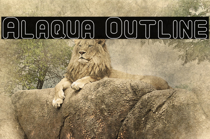 Alaqua Outline Font examples