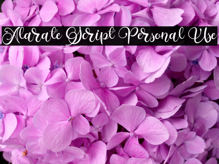 Alarate Script Personal Use Example 1