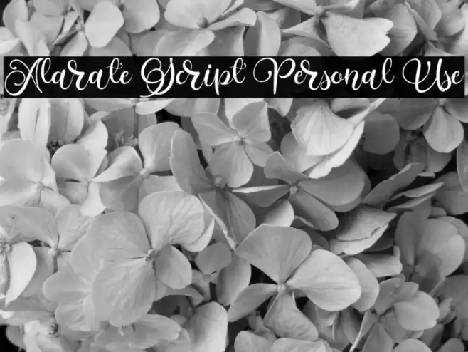 Alarate Script Personal Use Caratteri examples