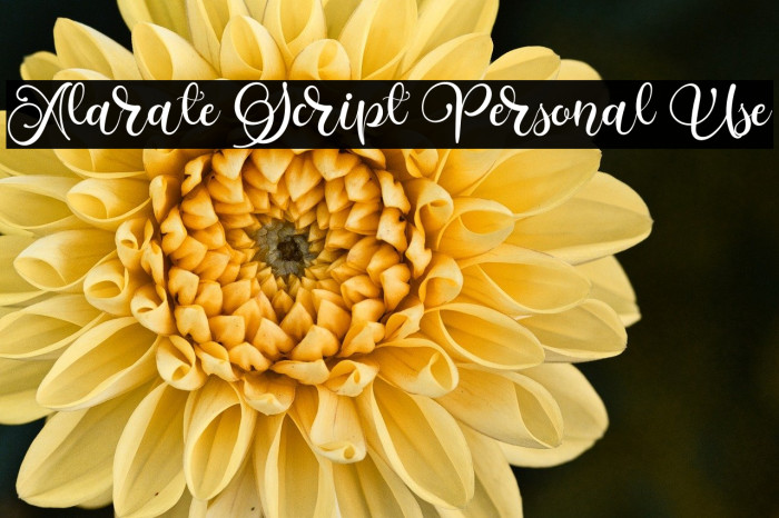 Alarate Script Personal Use Example 3