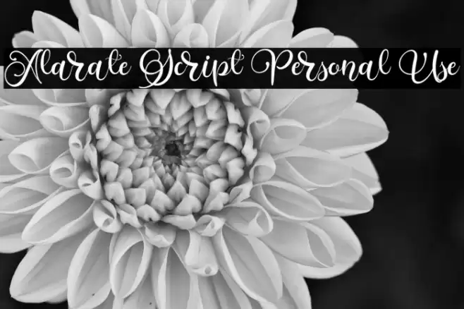 Alarate Script Personal Use Caratteri examples