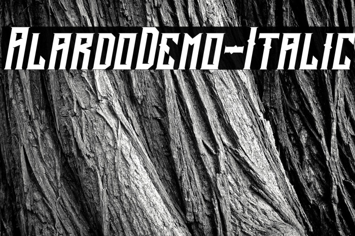 AlardoDemo-Italic Example 3