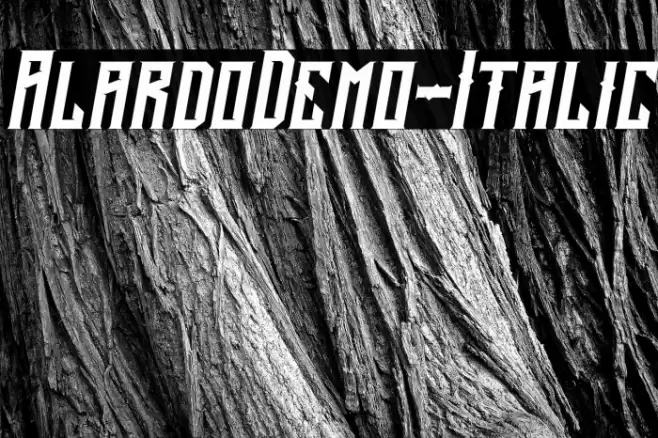 AlardoDemo-Italic Fonte examples