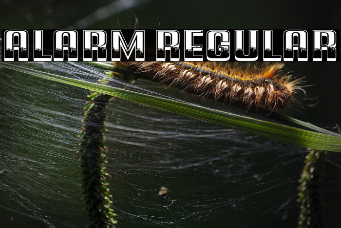 Alarm Regular Example 2