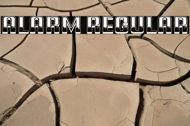 Alarm Regular Example 3