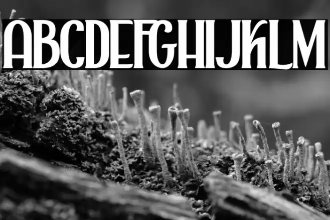 Alaska Regular Font examples