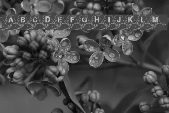 Alaskan Ice Font examples