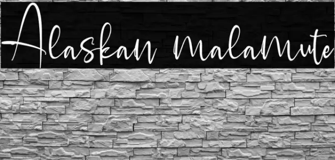 Alaskan malamute Font examples