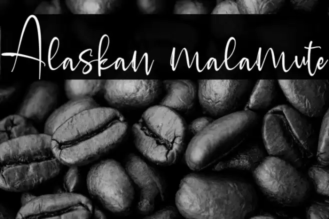 Alaskan malamute Font examples