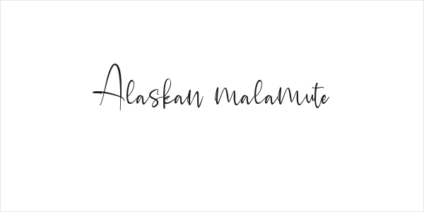 Alaskan malamute Logo