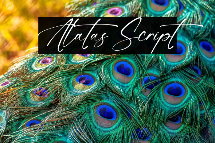 Alatas Script Example 1