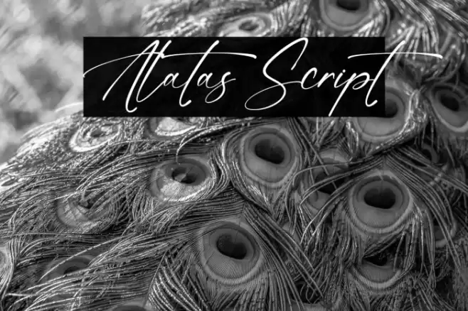 Alatas Script Шрифта examples