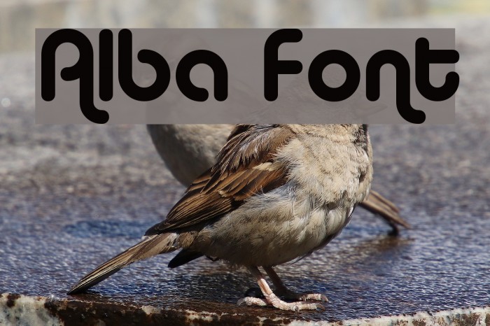 Alba Font examples