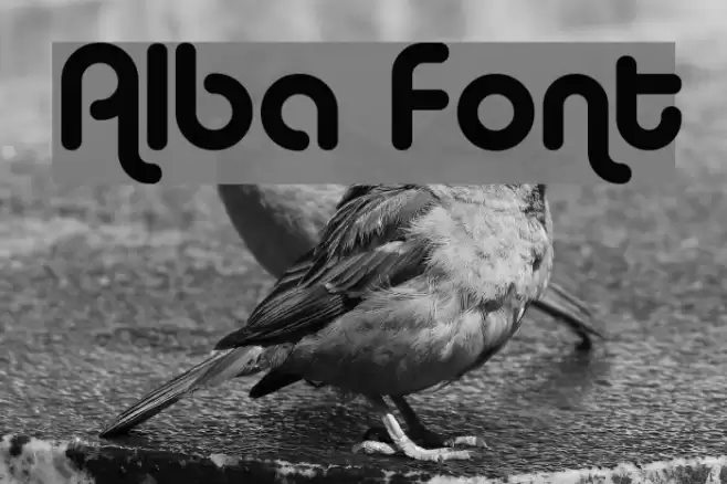 Alba Шрифта examples