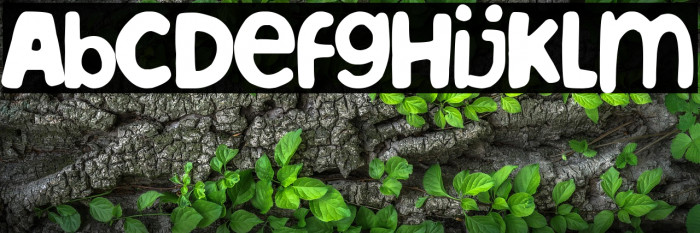 Albacete team Example 1