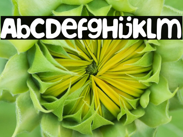 Albacete team Example 2