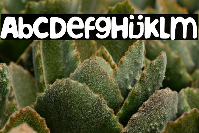 Albacete team Example 3