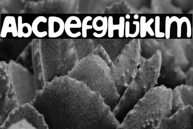 Albacete team Font examples