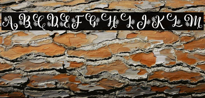 Albanian Olive Monogram 2 Example 2