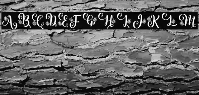 Albanian Olive Monogram 2 Font examples