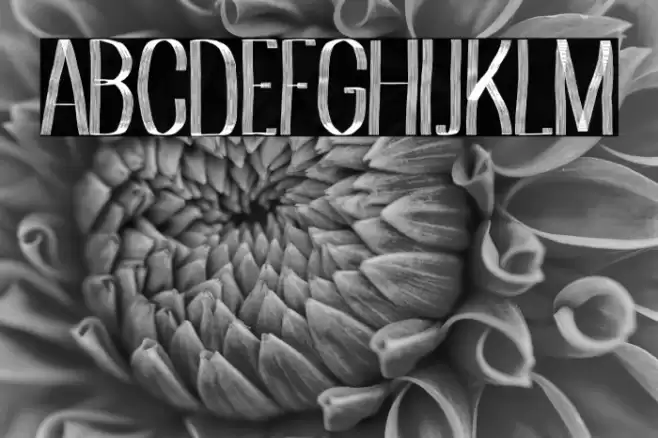 Albaricoque Team Font examples