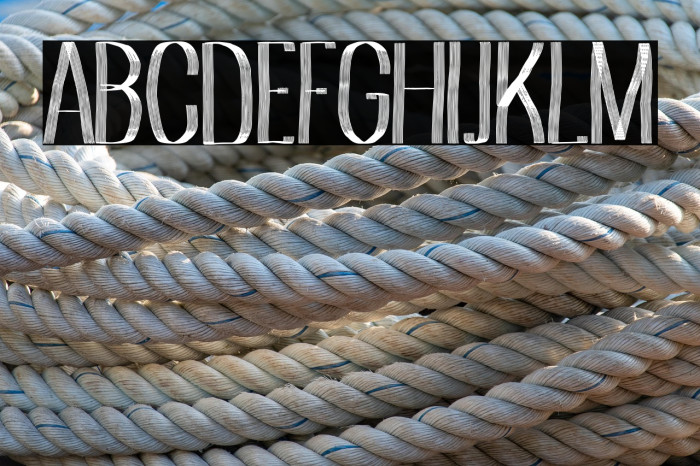 Albaricoque Team Example 3