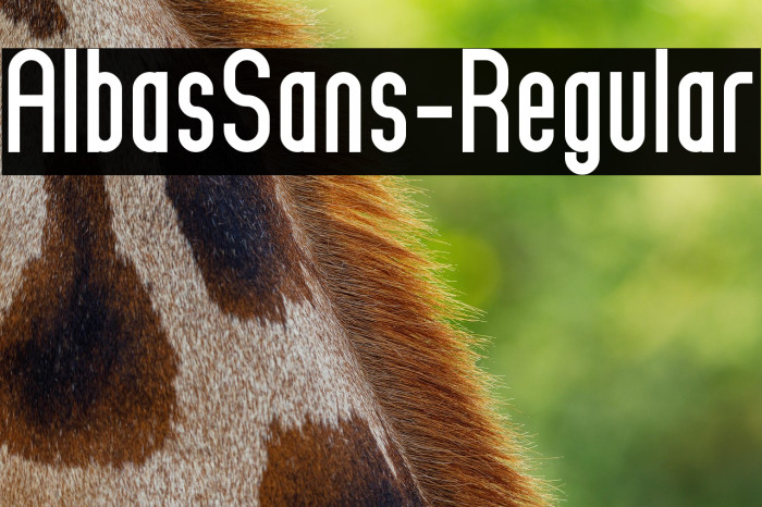 AlbasSans-Regular Example 1