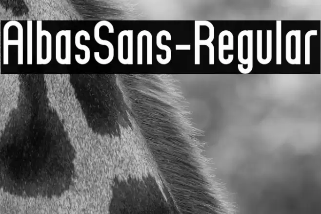 AlbasSans-Regular Font examples